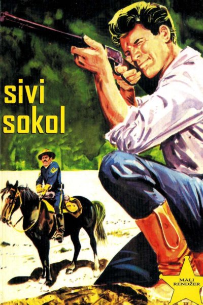Sivi sokol