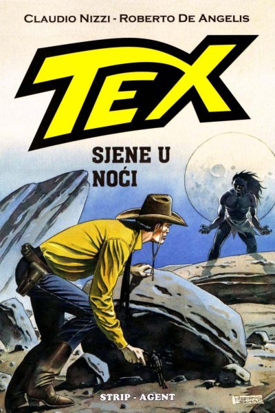 Sjene u noći (De Angelis)